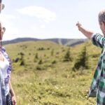 Progressive Führung