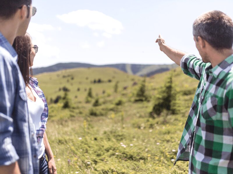 Progressive Führung