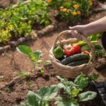 Erfolgreiche Teams bilden: Die Kunst des Projektmanagements Lernen Sie, wie Sie das perfekte Projektteam zusammenstellen und ein kollaboratives Umfeld schaffen, das zum Erfolg führt.