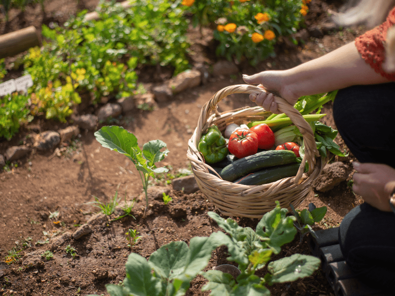 Erfolgreiche Teams bilden: Die Kunst des Projektmanagements Lernen Sie, wie Sie das perfekte Projektteam zusammenstellen und ein kollaboratives Umfeld schaffen, das zum Erfolg führt.